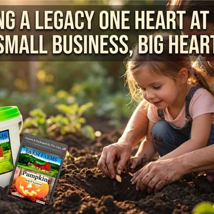 BEST VALUE: 100,000 Vegetable Heirloom Seed Vault. 100 Seed Packets