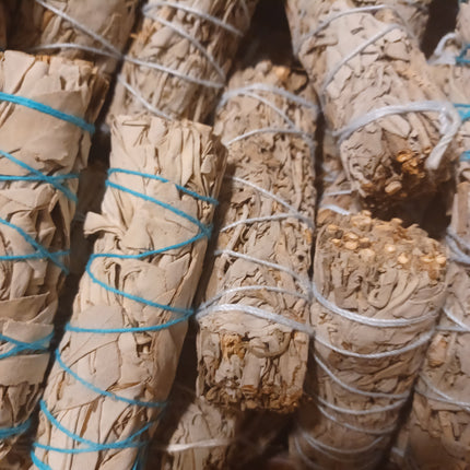 White Sage Bundle| Energy Clearing