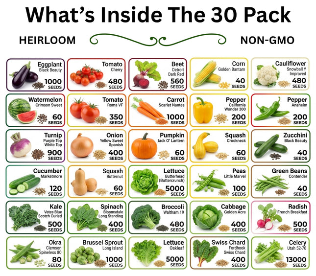 30 Seed Packet Vault: Heirloom, Non-GMO Vegetable Seed Packets