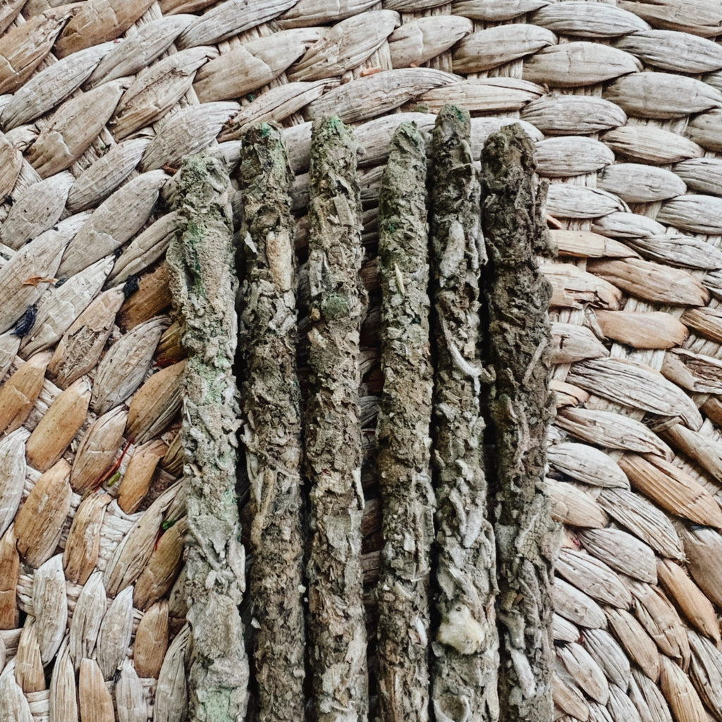 White Sage | 8 Sacred Natural Incense Sticks |