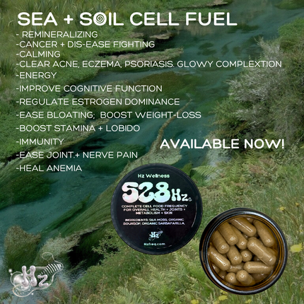 SEA+SOIL CELL FUEL CAPSULES : 528hz