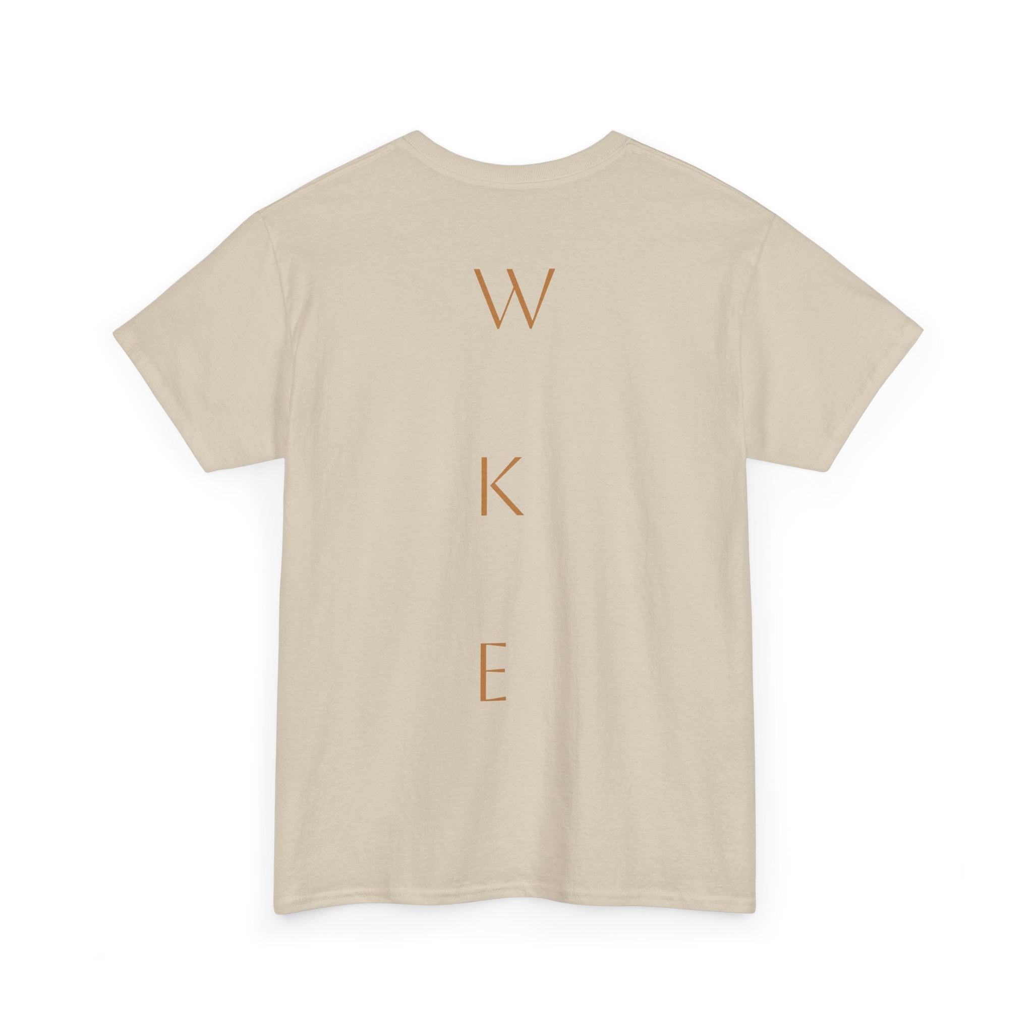 Diety Poster Tee — Vintage Band Graphic T-Shirt