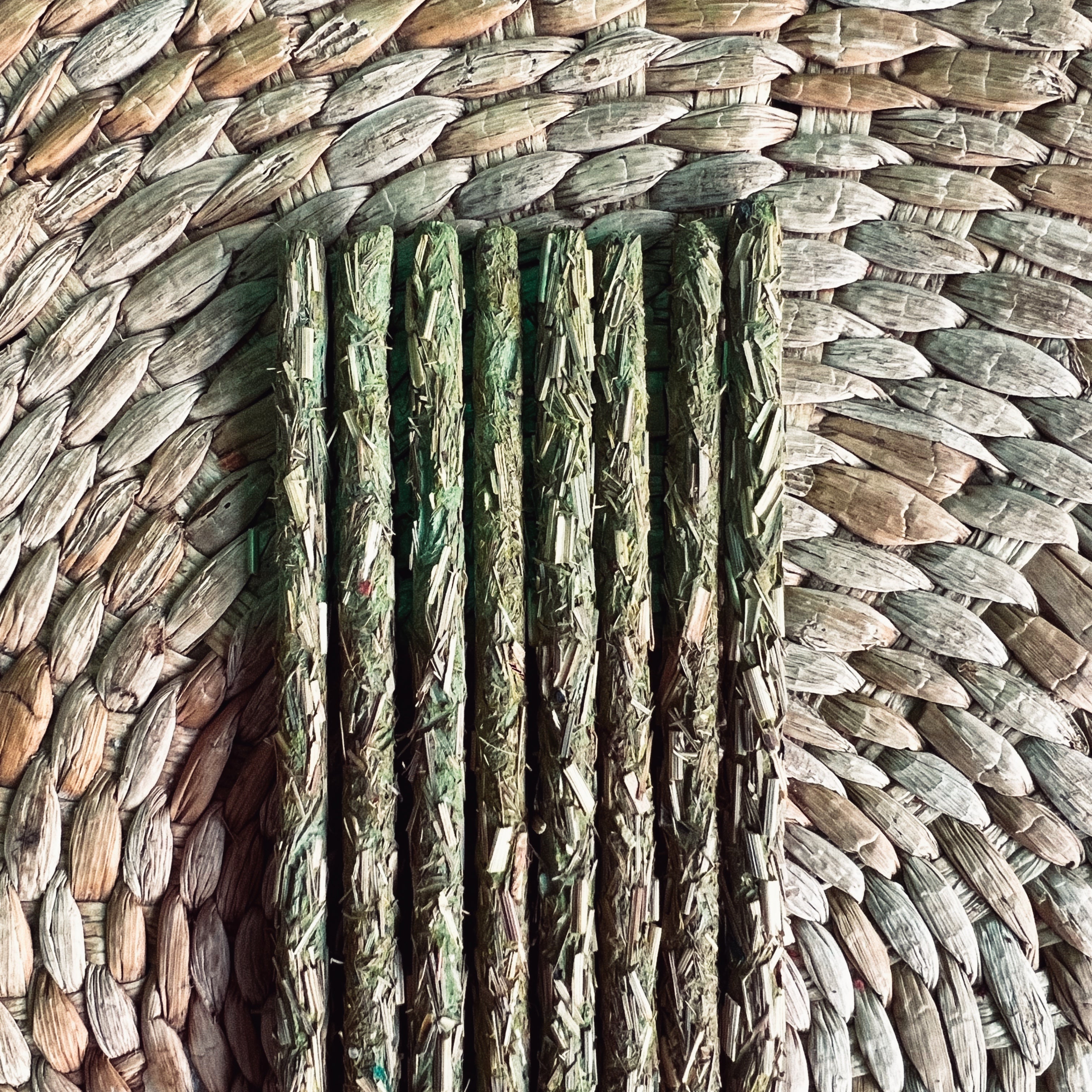 Vetiver Root | 8 Sacred Natural Incense Sticks |