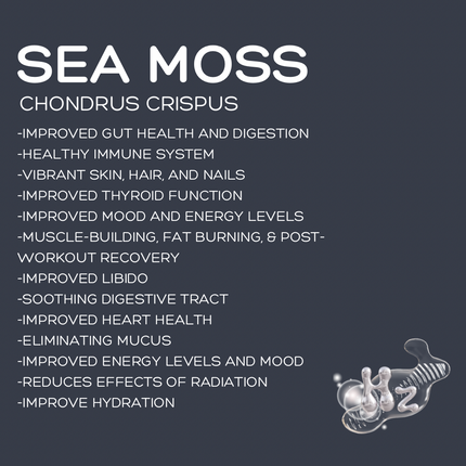 SEA+SOIL CELL FUEL CAPSULES : 528hz