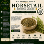 1 oz Horsetail c/s