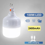 100W