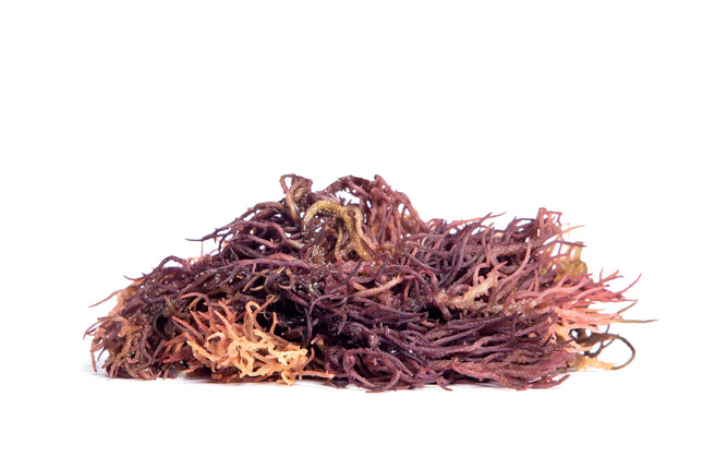 Full Spectrum Sea Moss (Non-rinsed with Sea Debris)
