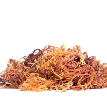 Full Spectrum Sea Moss (Non-rinsed with Sea Debris)