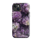 iPhone 14 Plus