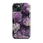 iPhone 15 Plus