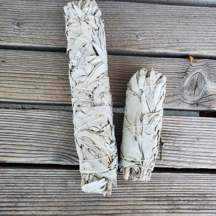 White Sage Bundle