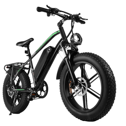 R7 Cruiser (750W)
