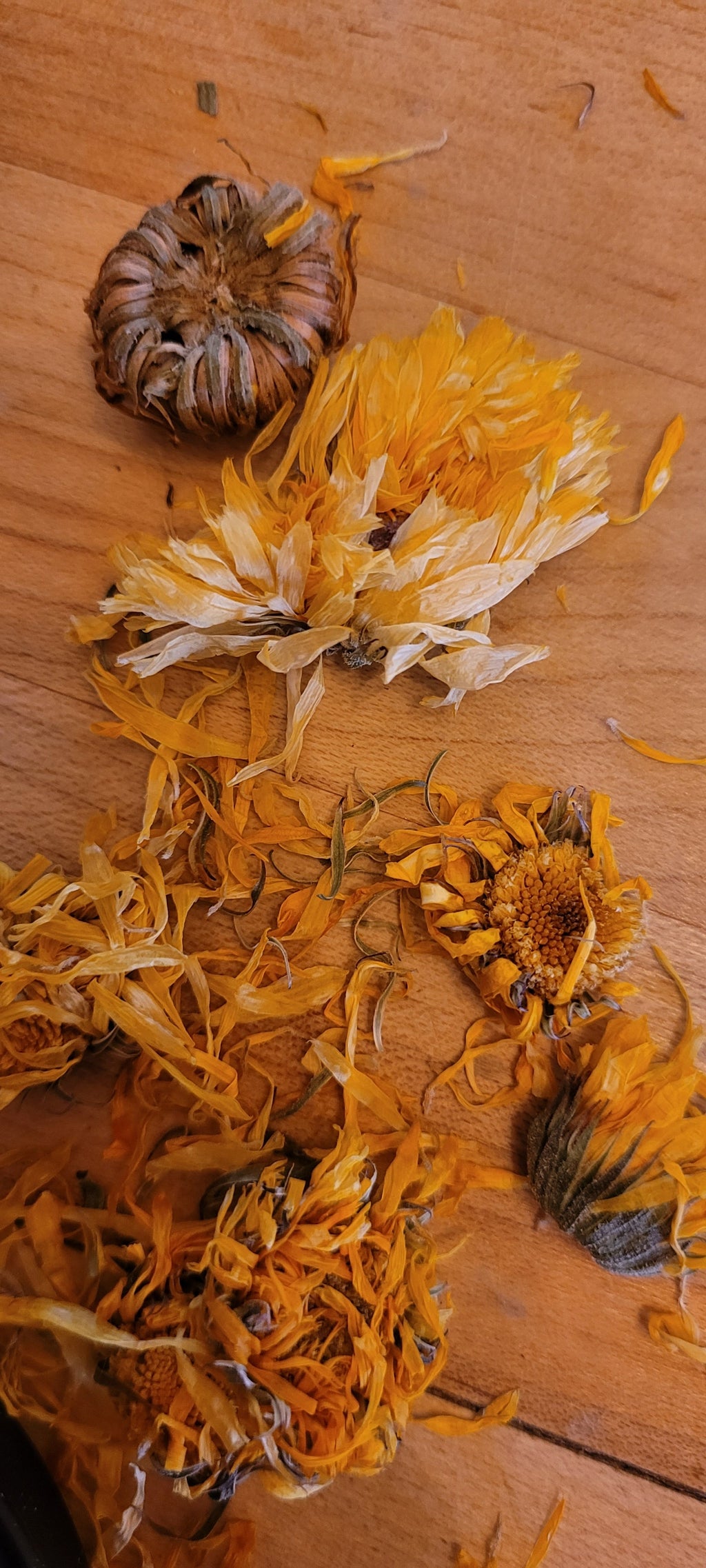 Calendula relieving/soothing salve "all purpose"