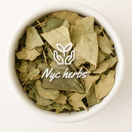 Mango Leaf | Blood Sugar Balance & Circulatory Support