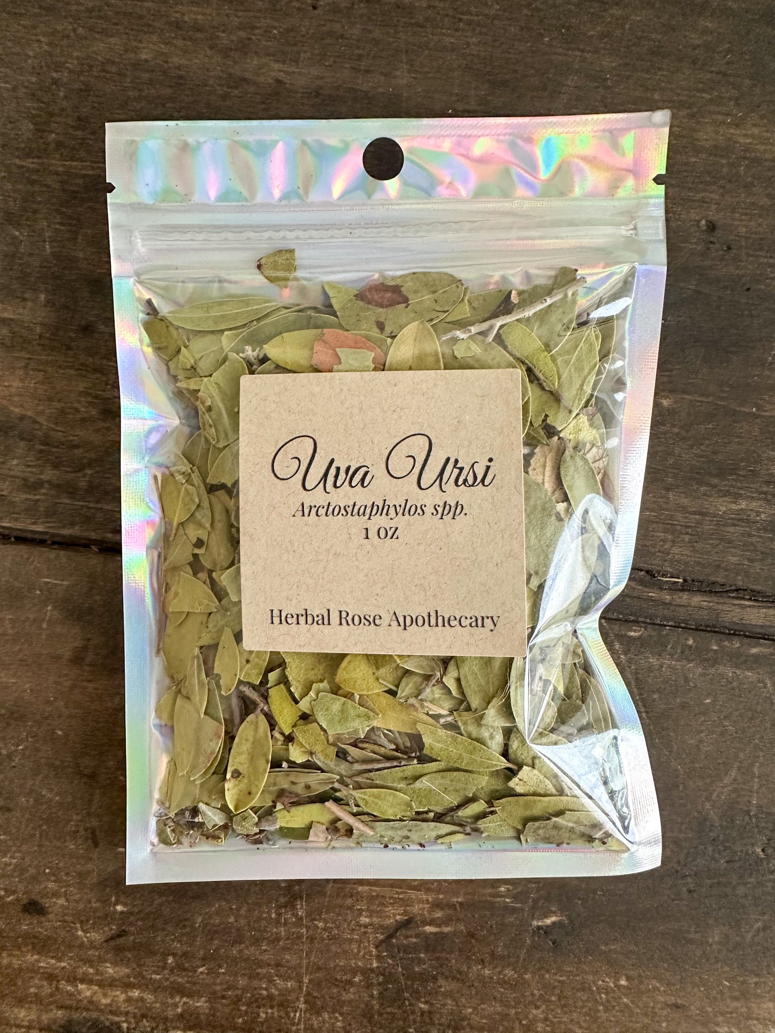 Uva Ursi