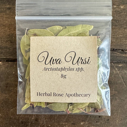 Uva Ursi