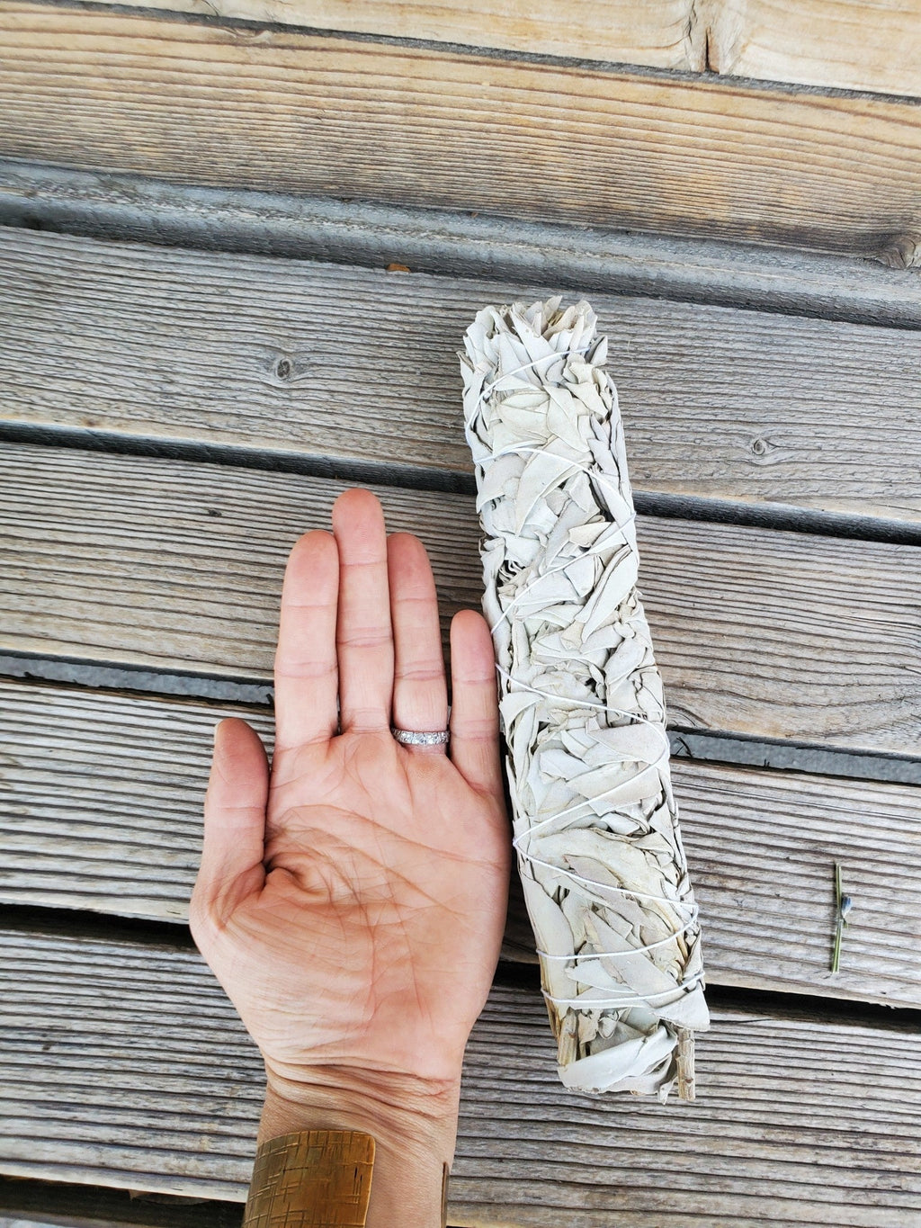 White Sage Bundle